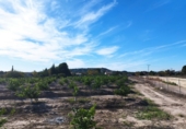 Land suitable for development for sale in Molina de Segura ref: TR109551 photo
