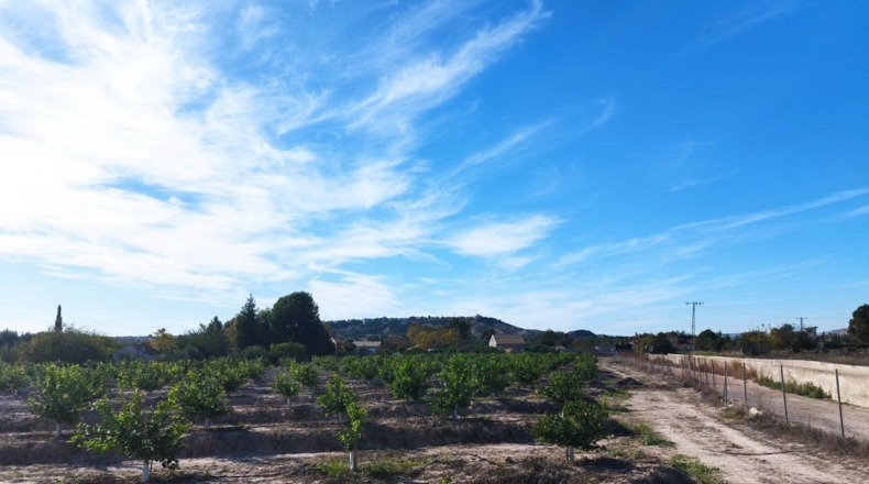 Murcia - El Llano - 20600m2