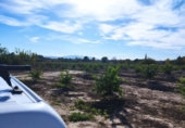 Land suitable for development for sale in Molina de Segura ref: TR109551 photo