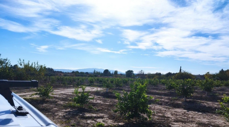 Murcia - El Llano - 20600m2