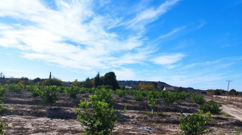 Murcia - El Llano - 20600m2