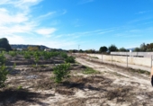 Land suitable for development for sale in Molina de Segura ref: TR109551 photo