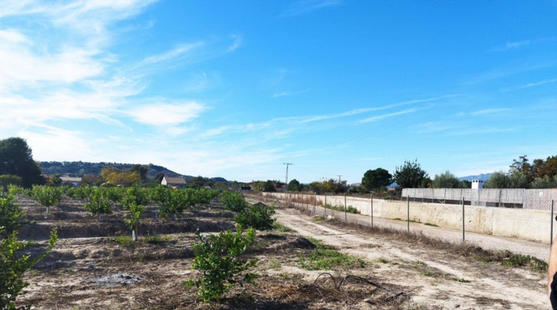 Murcia - El Llano - 20600m2