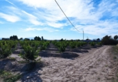 Land suitable for development for sale in Molina de Segura ref: TR109551 photo