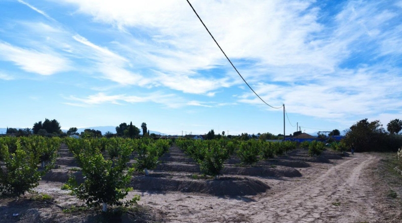 Murcia - El Llano - 20600m2