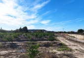 Land suitable for development for sale in Molina de Segura ref: TR109551 photo