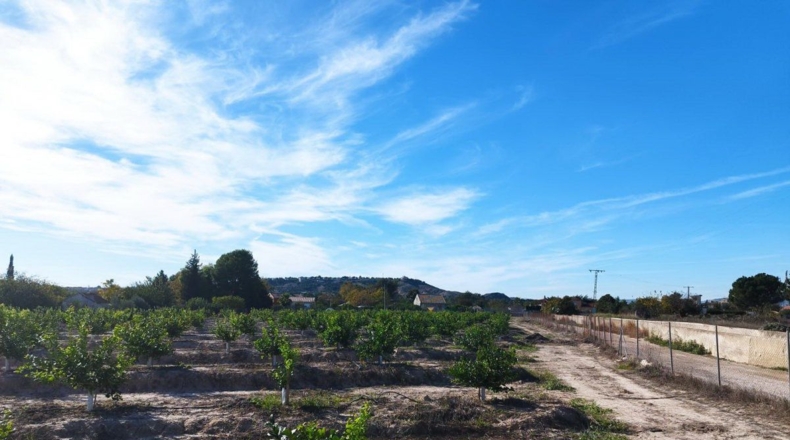 Murcia - El Llano - 20600m2