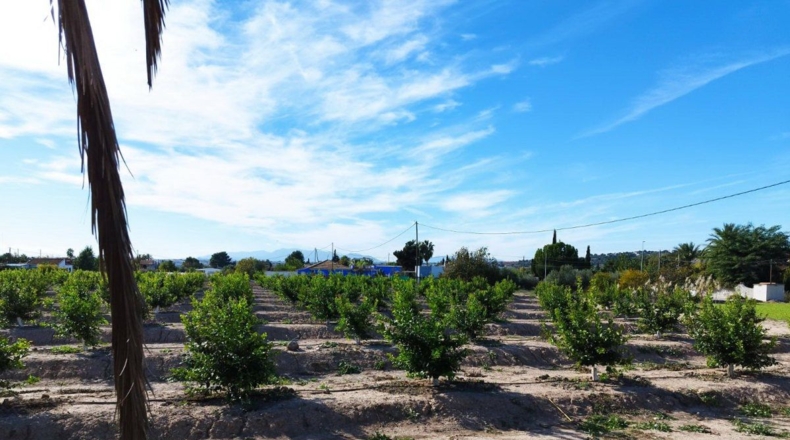Murcia - El Llano - 20600m2