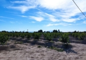 Land suitable for development for sale in Molina de Segura ref: TR109551 photo