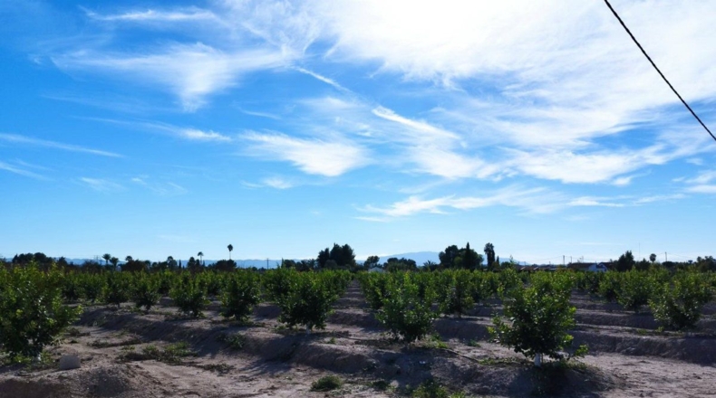 Murcia - El Llano - 20600m2