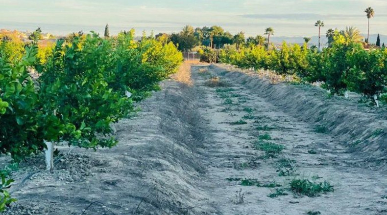 Murcia - El Llano - 20600m2