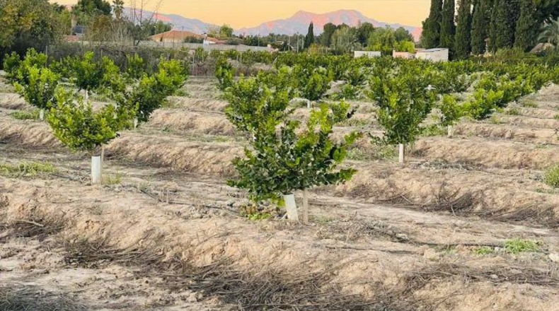 Murcia - El Llano - 20600m2