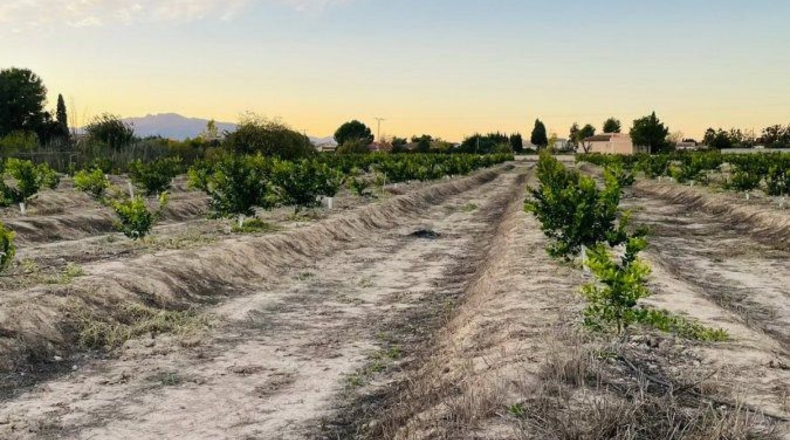 Murcia - El Llano - 20600m2