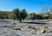 Finca rústica en venda a Puerto Lumbreras ref.: TR187049 foto