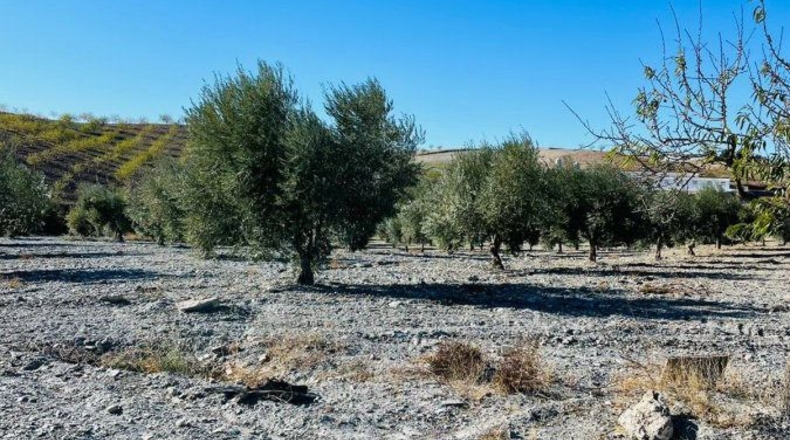 Múrcia - Puerto Lumbreras - 30000m2