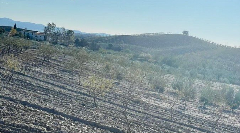 Múrcia - Puerto Lumbreras - 30000m2