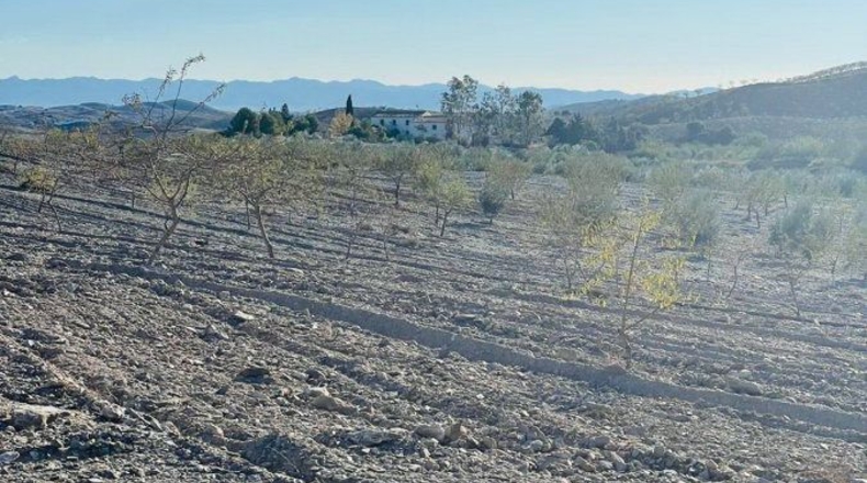Murcia - Puerto Lumbreras - 30000m2