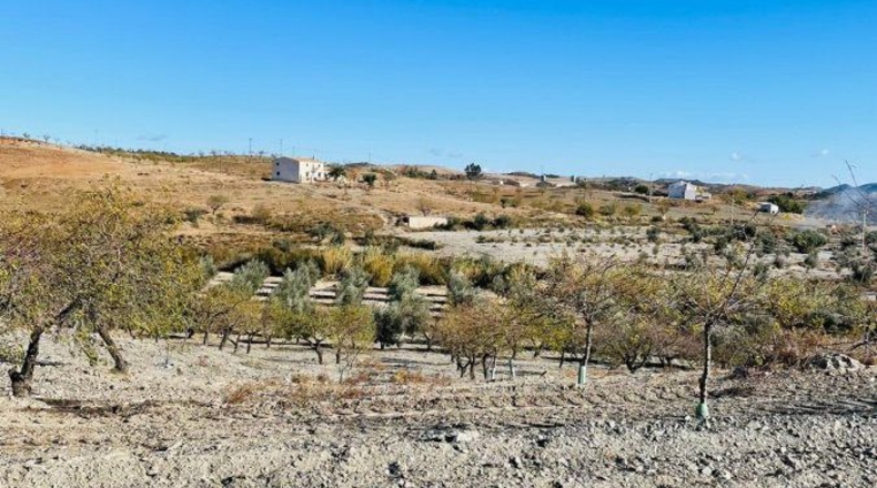 Murcia - Puerto Lumbreras - 30000m2