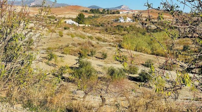 Murcia - Puerto Lumbreras - 30000m2