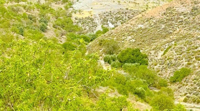 Murcia - Puerto Lumbreras - 175000m2