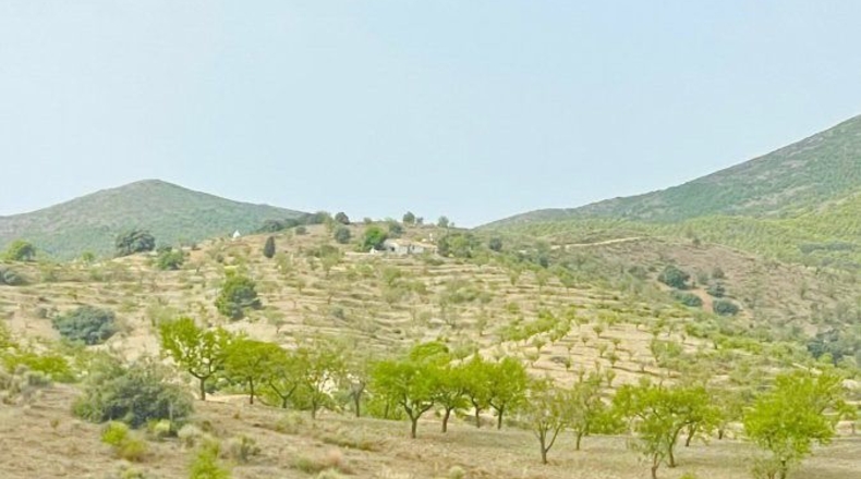 Murcia - Puerto Lumbreras - 175000m2