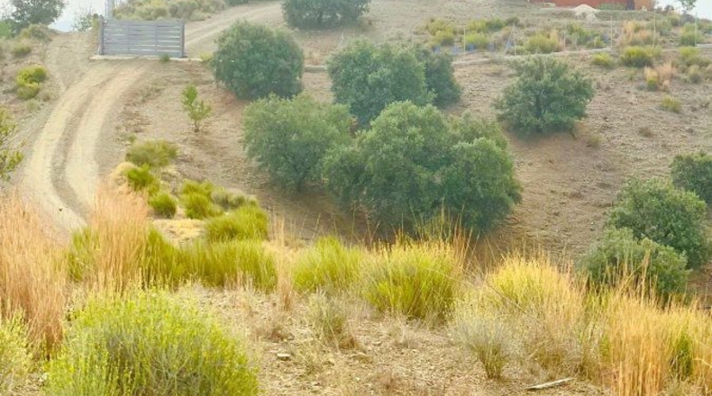 Murcia - Puerto Lumbreras - 175000m2