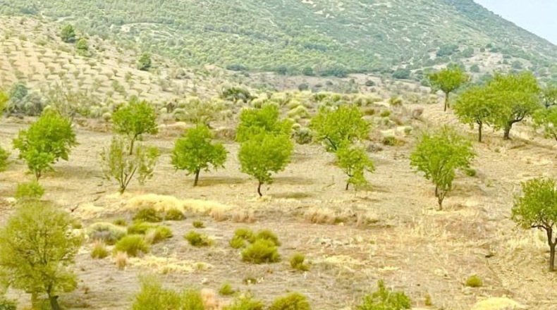 Murcia - Puerto Lumbreras - 175000m2
