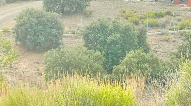 Murcia - Puerto Lumbreras - 175000m2