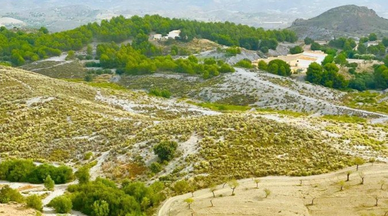 Murcia - Puerto Lumbreras - 175000m2