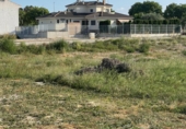 Parcel·la urbanitzable en venda a Ceutí ref.: TR109553 foto