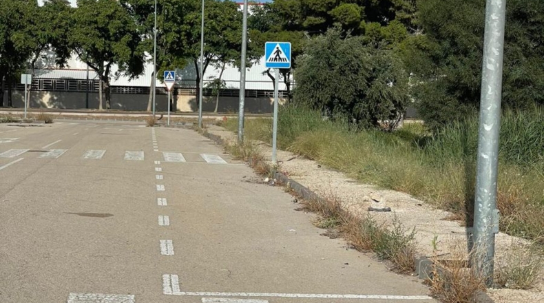 Murcia - Ceutí - 124m2