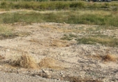 Parcel·la urbanitzable en venda a Ceutí ref.: TR109553 foto