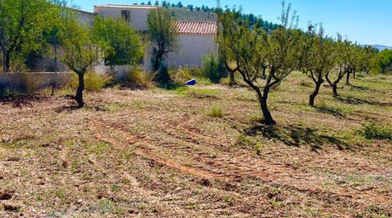 Almería - Vélez-Rubio - 85000m2