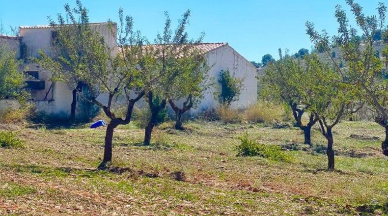 Almería - Vélez-Rubio - 85000m2