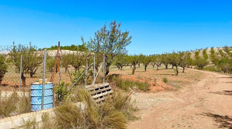Almería - Vélez-Rubio - 85000m2