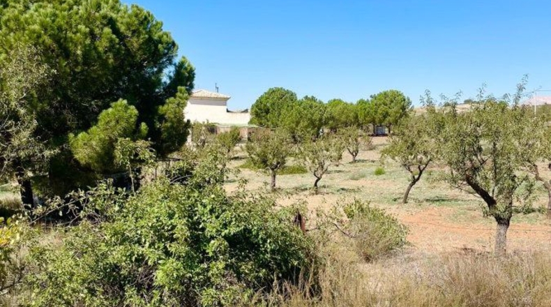 Almería - Vélez-Rubio - 85000m2