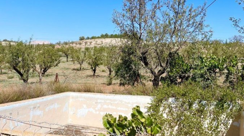 Almería - Vélez-Rubio - 85000m2