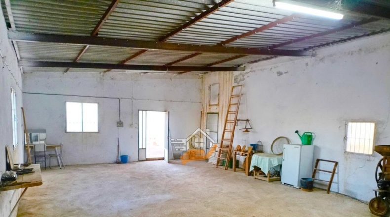 Almería - Vélez-Rubio - 85000m2