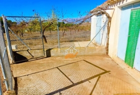 Foto 13