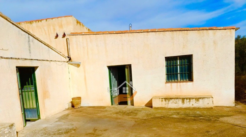 Almería - Vélez-Rubio - 85000m2