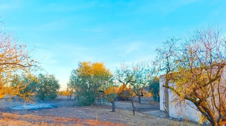 Almería - Vélez-Rubio - 85000m2