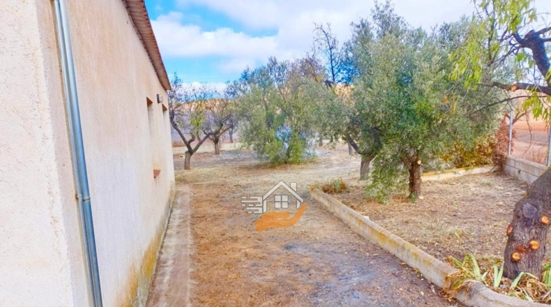 Almería - Vélez-Rubio - 85000m2