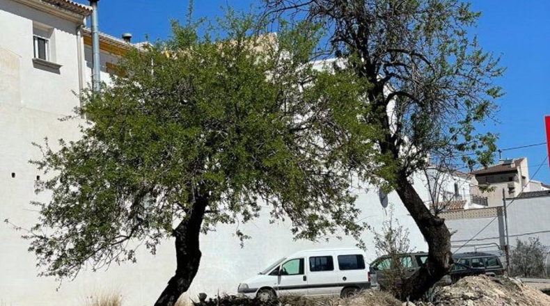 Almería - Vélez-Rubio - 176m2