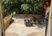 Finca rústica en venda a Vélez-Rubio ref.: TR185567 foto
