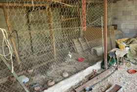 Foto 14