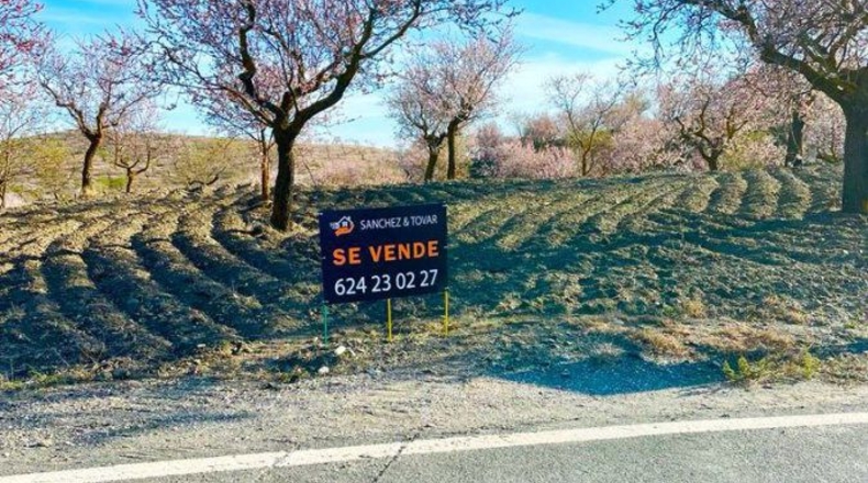 Almería - Vélez-Rubio - 100m2