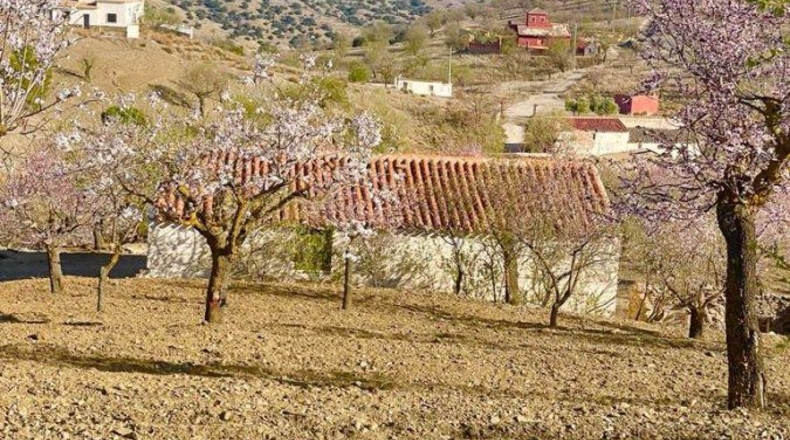 Almería - Vélez-Rubio - 100m2