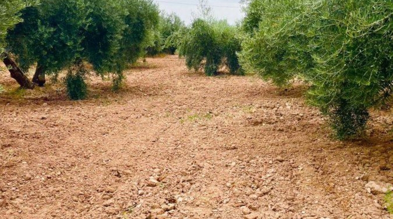 Almería - Vélez-Rubio - 60m2