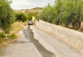 Rural estate for sale in Vélez-Rubio ref: TR189792 photo