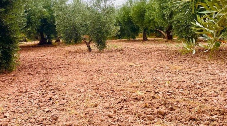 Almería - Vélez-Rubio - 60m2